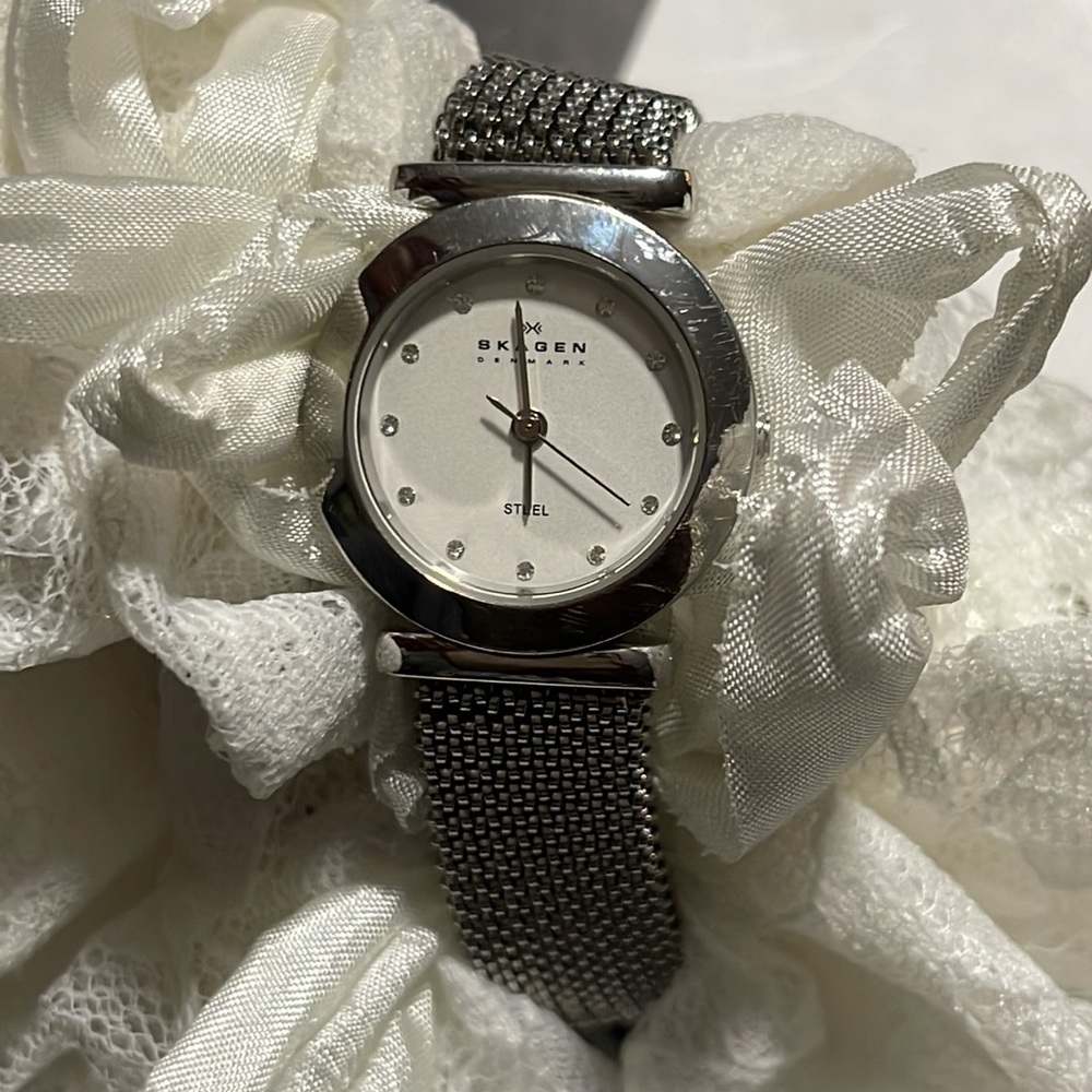 Skagen 107ssss1 Stainless Steel White Dial Women's Quartz Watch